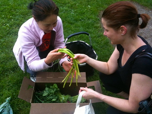 GeZhange.Garlic Scapes.JPG